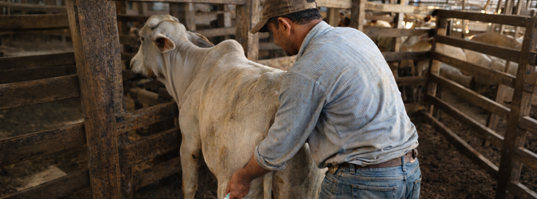 ChatGPT Image 6 abr 2026, 12_37_49 p.m.